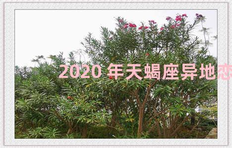 2020 年天蝎座异地恋